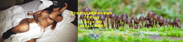 метамфетамин Гусев