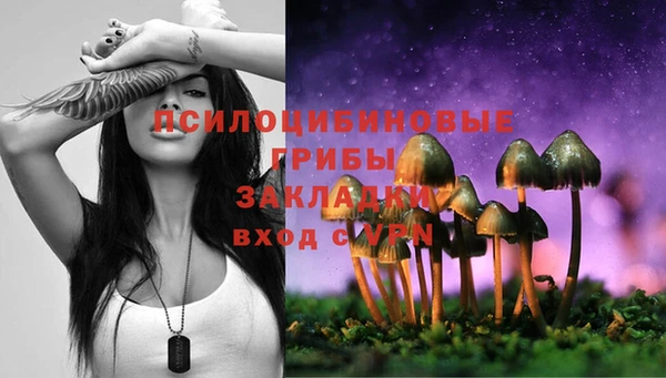 метамфетамин Гусев