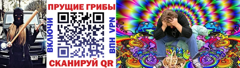 Псилоцибиновые грибы Psilocybine cubensis  Элиста 